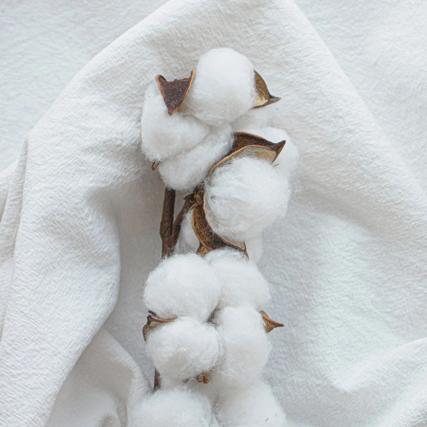 100% cotton is used in our Marshall and Stewart mattresses