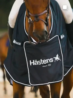 Show-jumping horse wearing a Hästens-branded rug